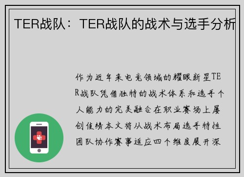 TER战队：TER战队的战术与选手分析